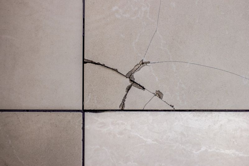 Damaged Tile Replacement